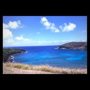 Meet your Posher, Jamie